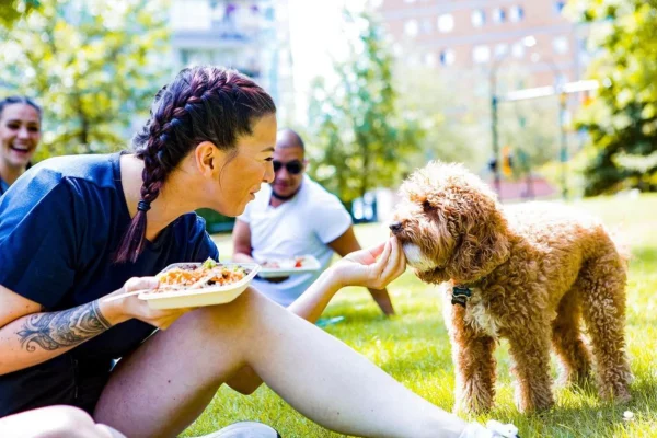 venessa stonehouse, hunnie, mindful fud, vegan honey, helen siwak, portfolioyvr, vancouver, bc